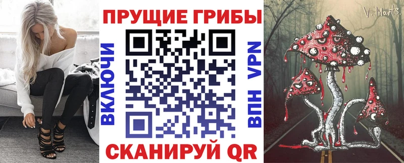 Псилоцибиновые грибы мицелий  купить закладку  Устюжна 